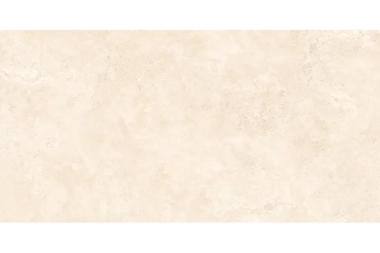 RAPOLANO NATURAL MATT 60х120 (плитка для підлоги і стін) image 1
