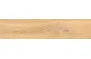 NOELWOOD BEIGE 60х11 (універсальна) зображення 2