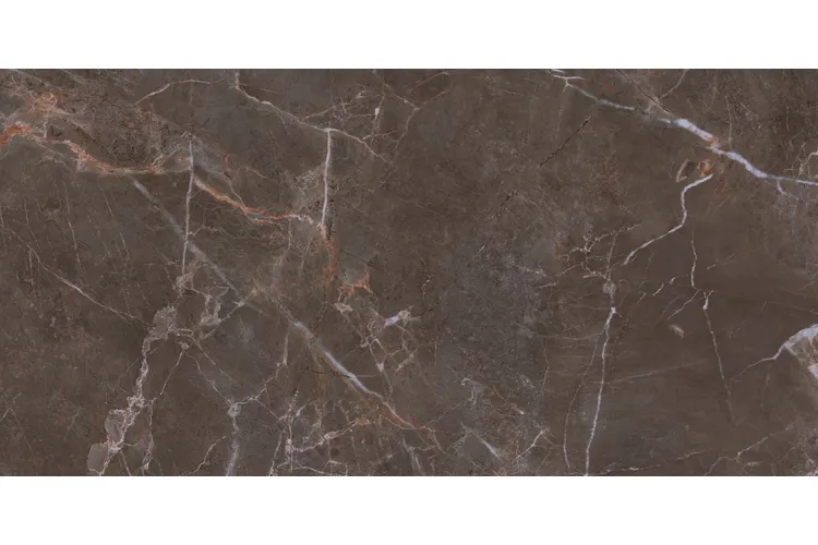 PROUD CHAMPAGNE NATURALE REKT STR MAT 119.8х59.8 (плитка для підлоги і стін) зображення 1