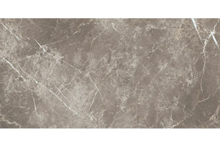 ELEMENTS LUX PERSIAN GREY SILKY RET 60х120 (ECC2) (плитка для підлоги і стін) зображення 1