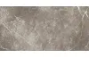 ELEMENTS LUX PERSIAN GREY SILKY RET 60х120 (ECC2) (плитка для підлоги і стін) зображення 1