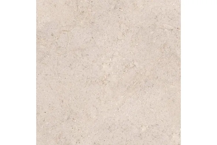 G369 DORCIA BONE L C-2 80x80 (плитка для підлоги і стін) image 1