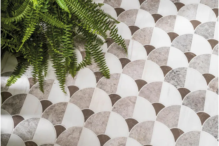 G148 FIGURE SHELL DARK 29,9X29,7 (мозаїка) зображення 2