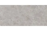 G2704 FIORI DI BOSCO POLISHED 03 120x270 (плитка настінна)
