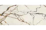 G2705 PAONAZZO BIONDO POLISHED 04 120x270 (плитка настінна)