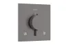 Термостат прихованого монтажу Ecostat Comfort E на 2 функції Brushed Black Chrome (33711340) image 1