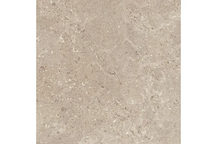 MLK9 MYSTONE GRIS FLEURY BEIGE RT 60х60 (плитка для підлоги і стін) зображення 1