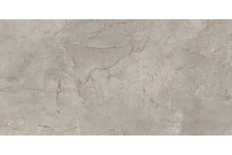 ELEMENTS LUX SILVER GREY SILKY RET 60х120 (2ASK) (плитка для підлоги і стін) зображення 1