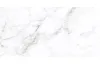 CALACATTA SILVER білий 60х120 matt (плитка для підлоги і стін) AG0980 зображення 1