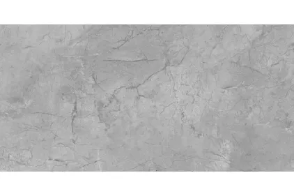 ELEMENTS LUX SILVER GREY SILKY RET 60х120 (2ASK) (плитка для підлоги і стін)