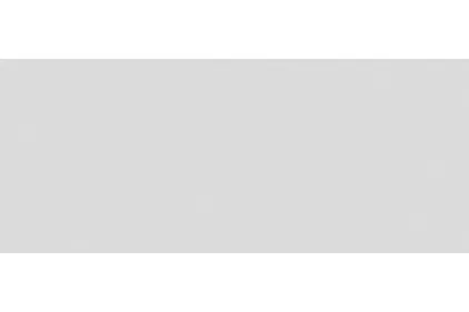 TRUE COLOR TALC MATT RT 50х120 (плитка настінна) fTDW