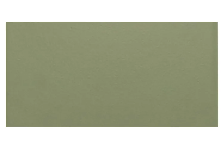 AQUA OLIVA LISO SMOOTH 11,9x24,4x0,8 122 G1 (гладка плитка для басейну) image 1