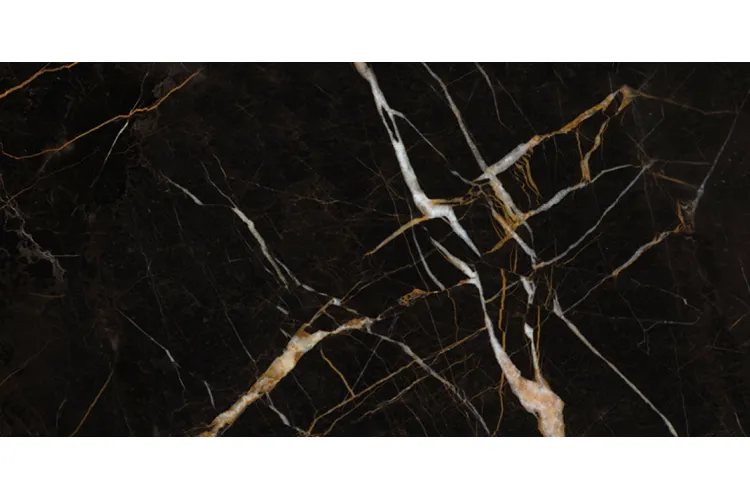 ELEMENTS LUX PORT LAURENT LAPPATO RET 60х120 (2A25) (плитка для підлоги і стін) зображення 1