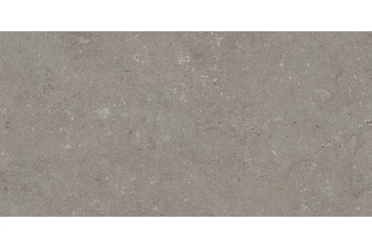 TOSCANA GREY 60x120 (плитка для підлоги і стін) зображення 1