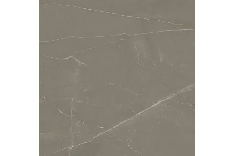 LINEARSTONE TAUPE 59.8х59.8 (плитка для підлоги і стін) MAT зображення 3