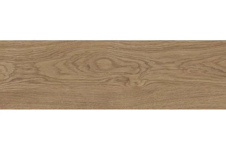 TORNWOOD BROWN 18.5х59.8 (плитка для підлоги і стін) зображення 1