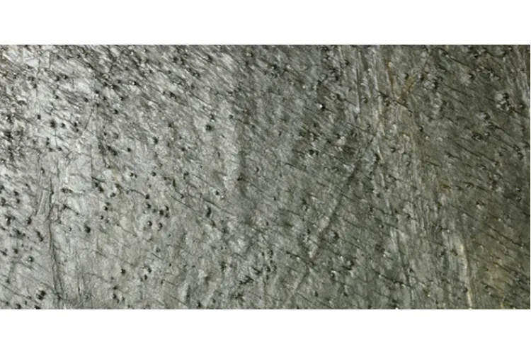 G232 DELHI NATURAL HOME 30x60x1.2cm (плитка для підлоги і стін) image 1