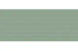 TRUE COLOR GROOVE JADE MATT RT 50х120 (плитка настінна) fTDZ