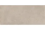 DISTRICT GREIGE NAT R9 RT 120х278 (IBA1) (плитка для підлоги і стін)