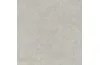 MP6J ROOM GRIGIO RET 100х100 (плитка для підлоги і стін) зображення 1