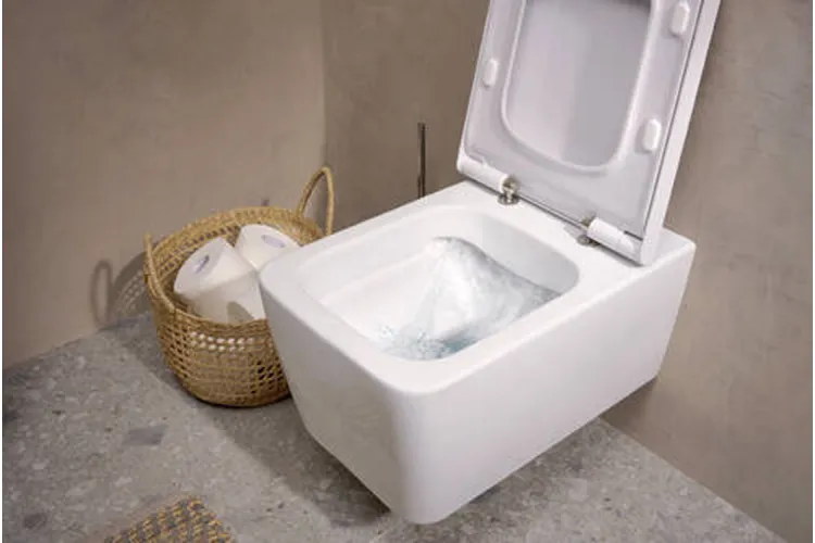 Унітаз підвісний EluPura Q в комплекті з інсталяцією iFrame 60301100 зображення 4