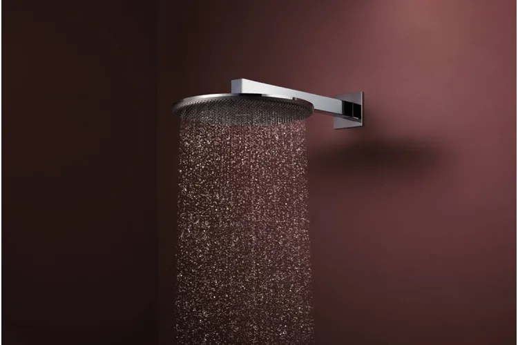 Верхній душ Raindance Alive S 300 2jet EcoSmart з тримачем Chrome (24541000) зображення 2