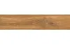 NOELWOOD HONEY 60х11 (універсальна) image 2