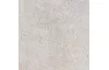 G354 MATIKA SILVER L 59,6x59,6 (плитка для підлоги і стін) зображення 1