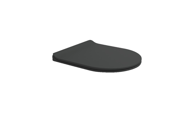 APP/QUICK Сидіння SLIM для унітазу SoftClosing/Quick-release Carbone (QKCW09) image 1