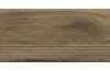 CARRIZO WOOD STOPNICA PROSTA STRUKTURA MAT 30х60 (сходинка структурна) image 3