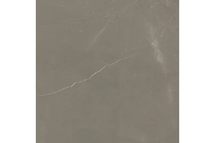 LINEARSTONE TAUPE 59.8х59.8 (плитка для підлоги і стін) MAT зображення 2