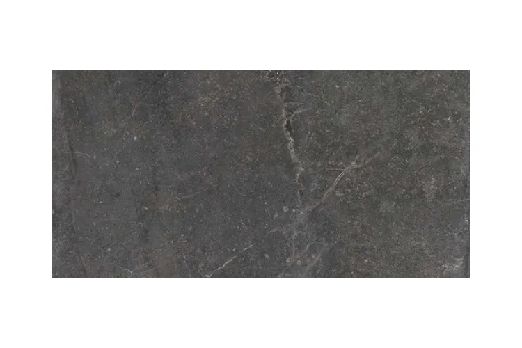 BLEUEMIX BLACK 60x120 (плитка для підлоги і стін) зображення 1