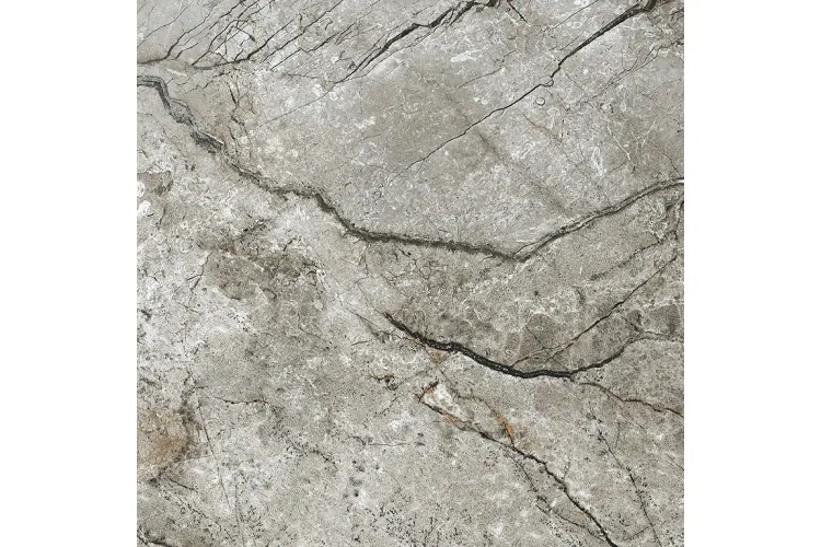 MARBLE SKIN GREY MATT RECT 59.8х59.8 (плитка для підлоги і стін) image 3