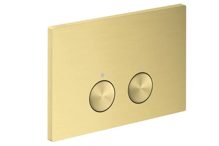 Панель змиву AXOR FlushPlate, Brushed Brass (42530950) зображення 1