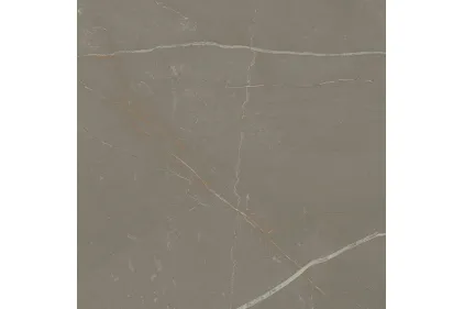 LINEARSTONE TAUPE 59.8х59.8 (плитка для підлоги і стін) MAT