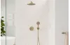Термостат прихованого монтажу ShowerSelect S на 2 клавіші Brushed Bronze (15743140) image 2