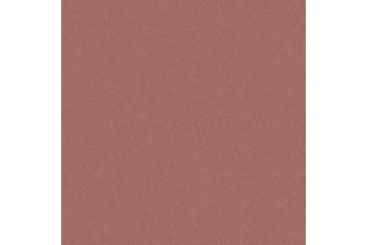 MONOLIGHT EXTERIOR TERRACOTTA R10 RECT. 59,7х59,7 9,5 мм (плитка для підлоги і стін) зображення 1