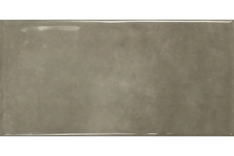 EARTH ASH GLOSS 7.5х15 (плитка настінна) image 1