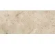 BALTIMORE 6616 CARAMEL 63x146 (плитка для підлоги і стін)